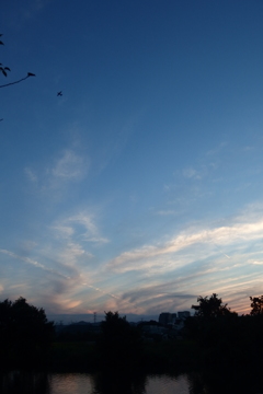 2015/09/22_夕空に飛行機