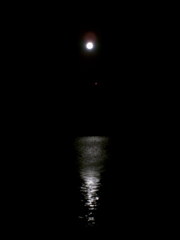 2016/01/24_溜め池の月夜