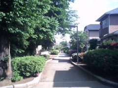 2014/05/04_緑の道