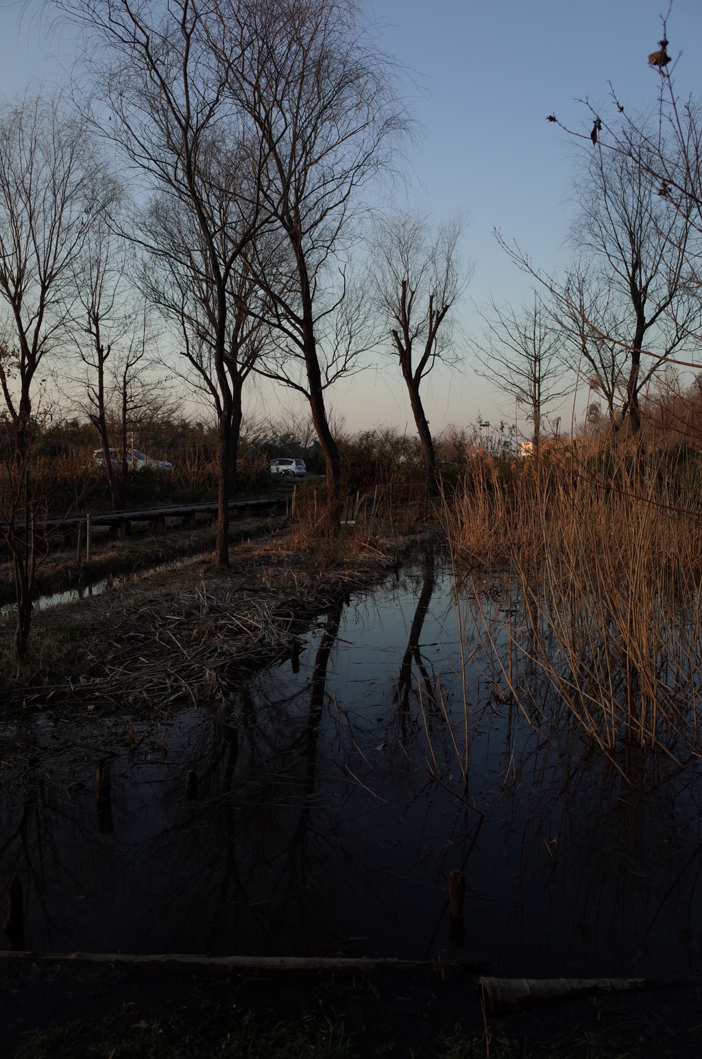 2015/02/11_ホタルの里