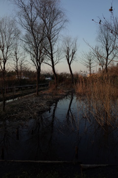 2015/02/11_ホタルの里