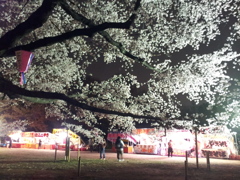 2016/04/02_小室無線山の夜桜