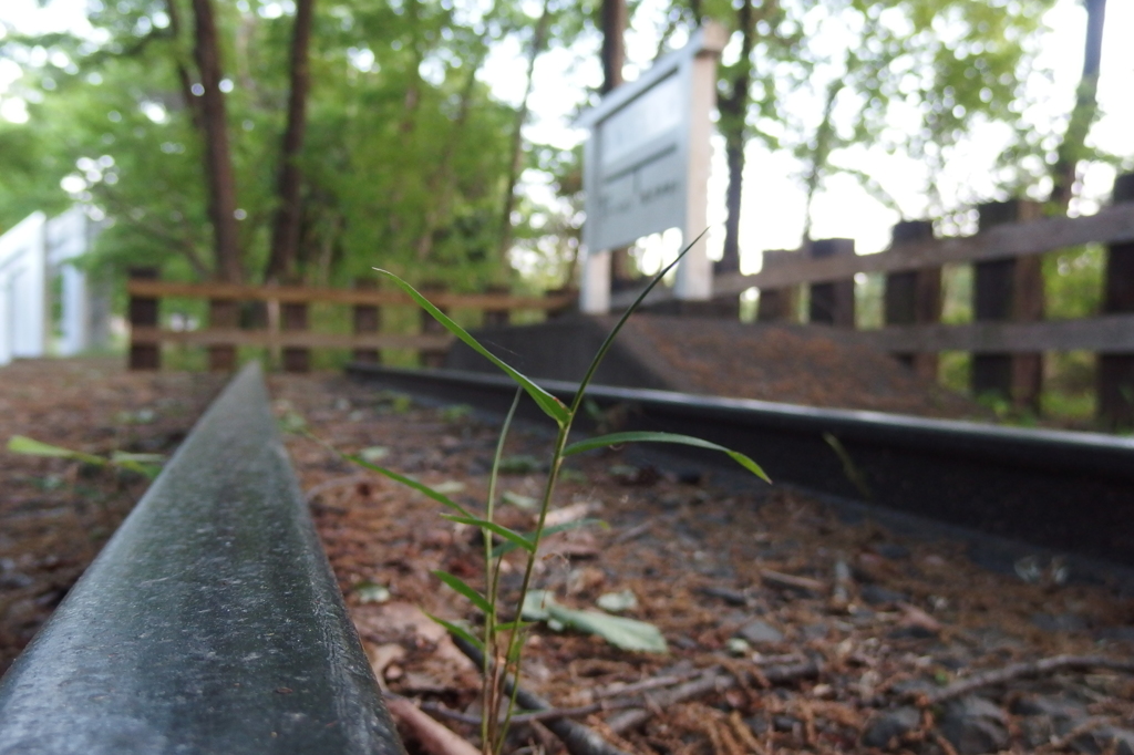 2016/04/30_トロッコ公園 白鳥の停車場