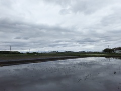 2017/05/14_水田の曇天