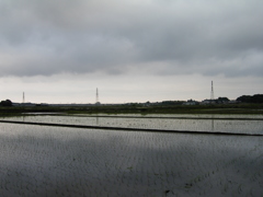 2017/05/27_水田の曇天