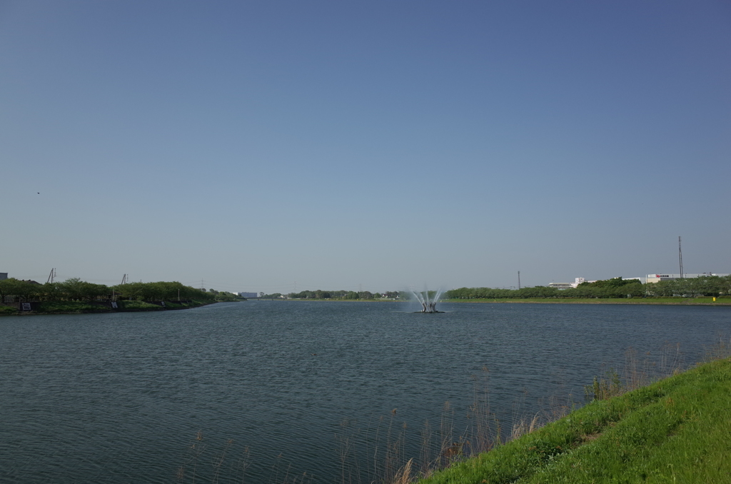 2015/04/26_権現堂川（行幸湖）