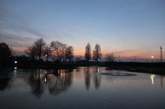 2014/12/28_川里中央公園の夕暮れ