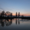 2014/12/28_川里中央公園の夕暮れ