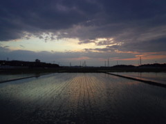 2017/06/10_水田の夕暮れ