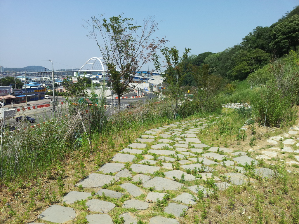 2017/06/18_月明公園の海側斜面