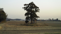 2013/03/09_田んぼの中の神社
