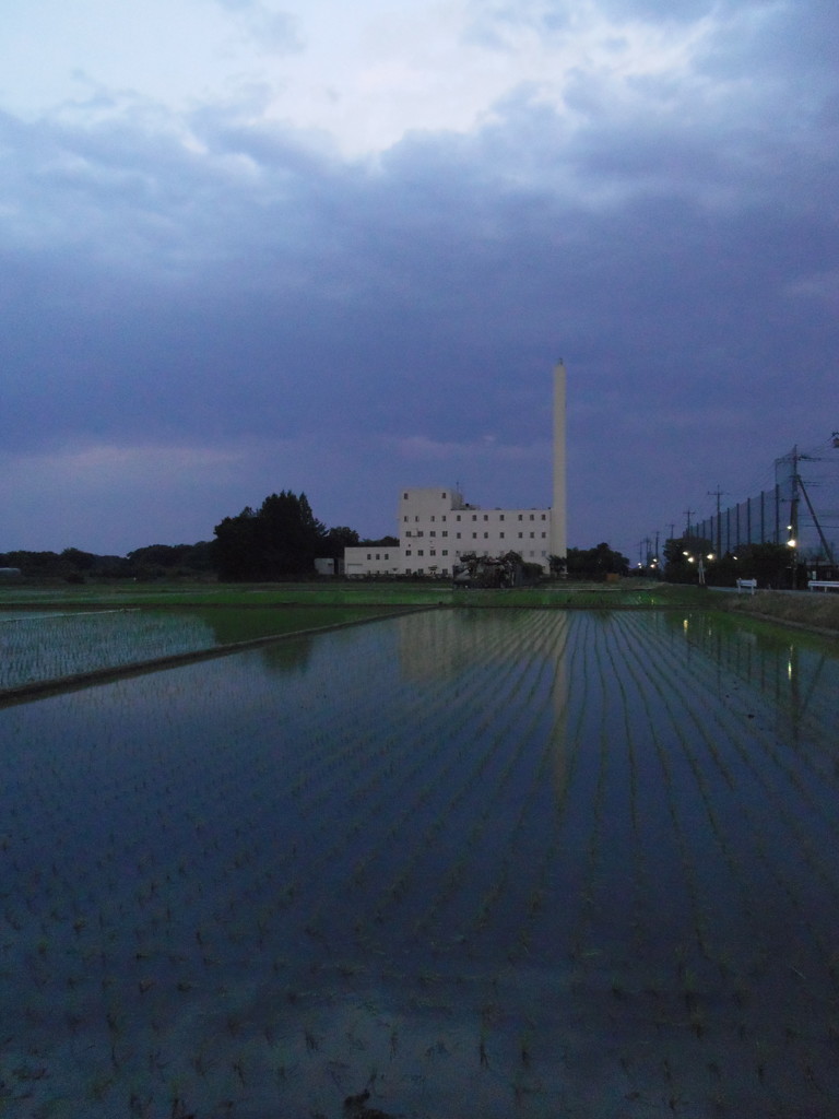 2017/06/10_水田に雲と伊奈町クリーンセンター