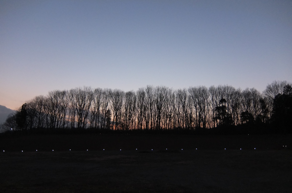 2014/01/18_夕暮れの木とソーラーライト