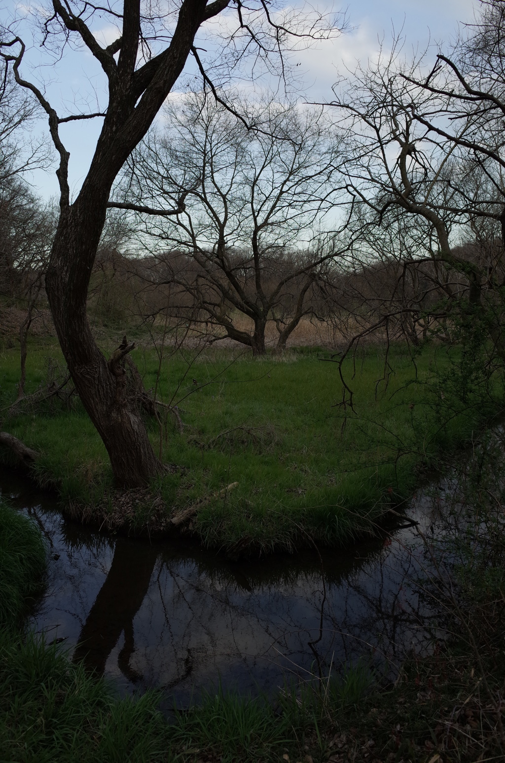 2016/03/26_北本自然観察公園
