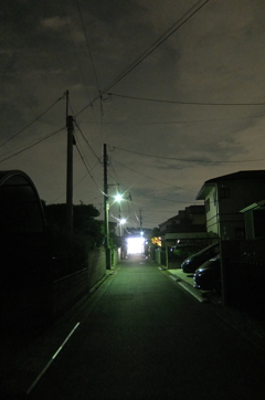 2015/07/19_夜のオアシス