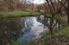 2016/03/26_北本自然観察公園