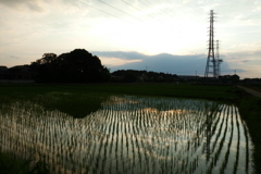 2016/06/26_水田の夕暮れ