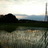 2016/06/26_水田の夕暮れ