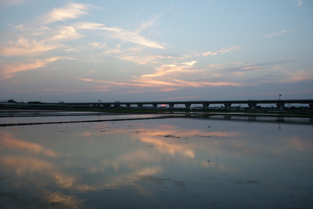 2016/06/18_水田の夕暮れ