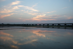 2016/06/18_水田の夕暮れ