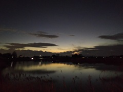 2017/01/09_溜め池の夕暮れ