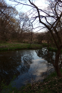 2016/03/26_北本自然観察公園