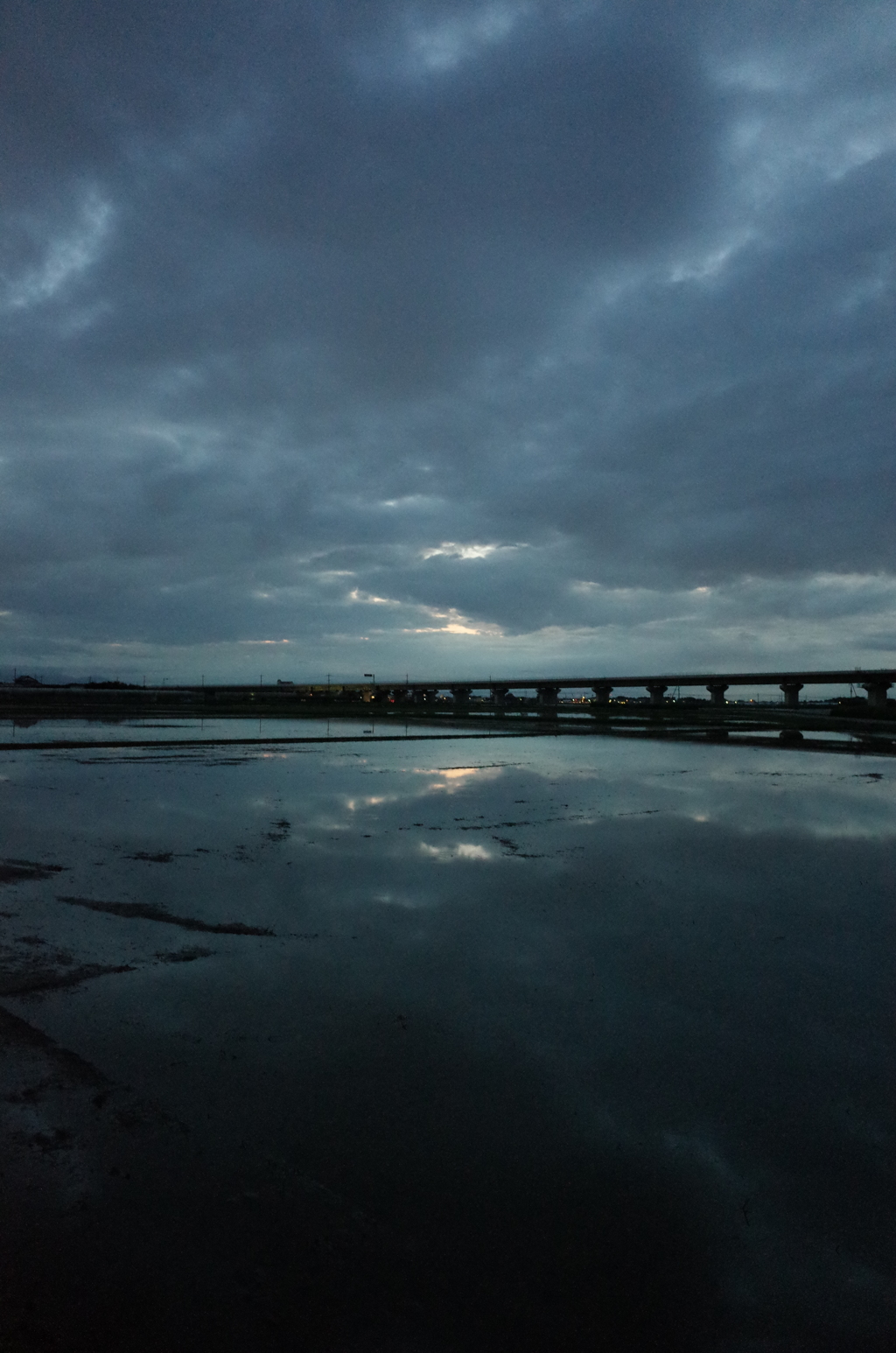 2015/06/21_水田の夕暮れ