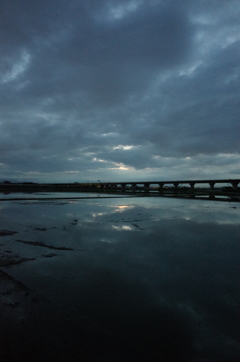 2015/06/21_水田の夕暮れ