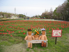 2016/04/09_花の丘農林公苑のチューリップ