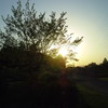 2017/04/30_花の丘農林公苑の夕暮れ