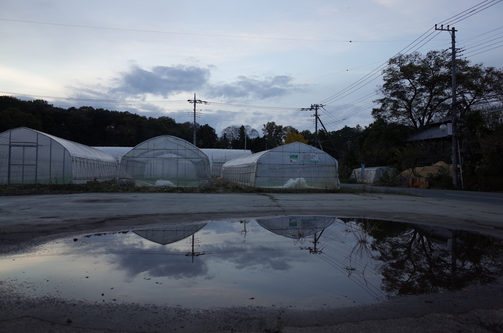 2015/11/29_水たまりに空