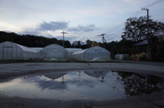 2015/11/29_水たまりに空