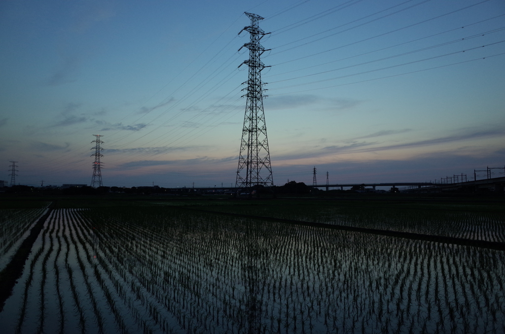 2016/06/18_水田の夕暮れ