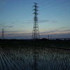 2016/06/18_水田の夕暮れ