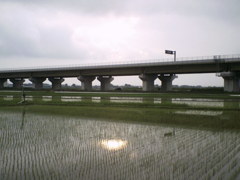 2015/07/05_水田に曇天