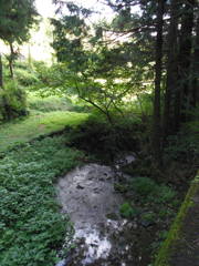 2017/10/09_外秩父山中のせせらぎ