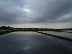 2017/05/27_水田の曇天