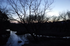 2015/02/15_夕暮れの秋葉の森総合公園