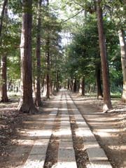2017/05/04_神明神社参道