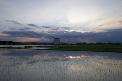 2015/06/21_水田の夕暮れ