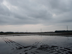 2017/05/27_水田の曇天