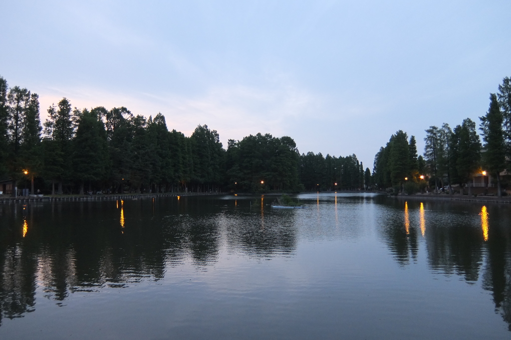 2014/05/24_夕暮れの別所沼公園