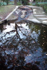 2014/11/15_鴨川みずべの里