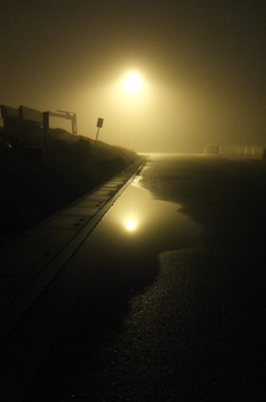 2015/02/08_霧の夜