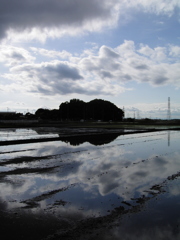 2017/05/14_水田に雲