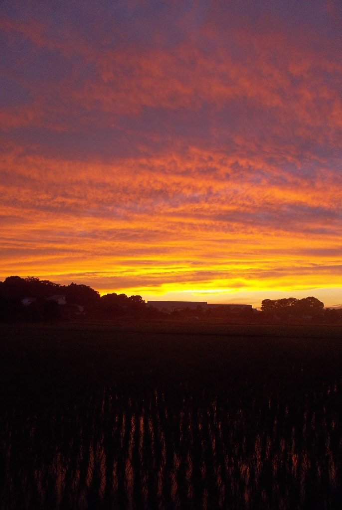 2015/06/27_夕暮れ