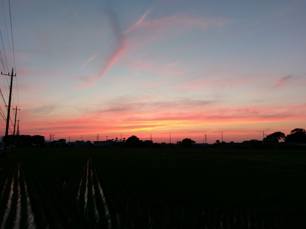 2018/06/24_水田の夕暮れ
