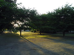 2016/07/10_竹林公園の夕暮れ