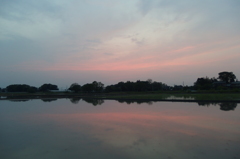 2016/05/01_水田の夕暮れ