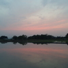 2016/05/01_水田の夕暮れ